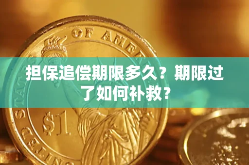 济南担保追偿期限多久？期限过了如何补救？