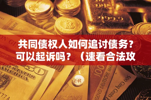 济南共同债权人如何追讨债务？可以起诉吗？（速看合法攻略）